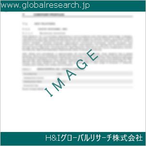 グローバルリサーチ調査資料のイメージ